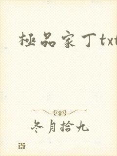 极品家丁txt
