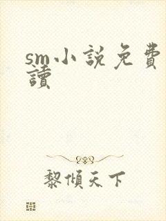 sm小说免费阅读封面