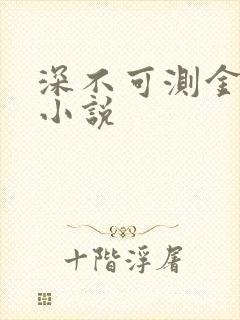 深不可测金银花小说