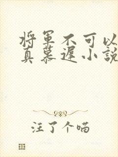 将军不可以魏云真慕迟小说笔趣阁封面