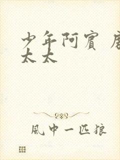 少年阿宾 房东太太封面