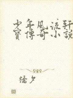 少年风流轩辕大宝传奇小说