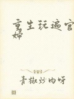 重生玩遍官场贵妇封面