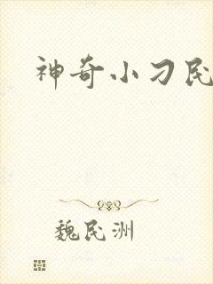 神奇小刁民