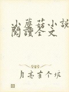 小蘑菇小说免费阅读全文