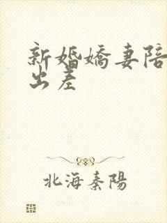 新婚娇妻陪局长出差