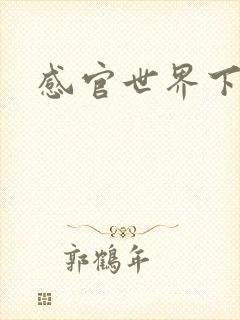 感官世界下载