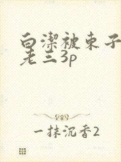 白洁被东子老二老三3p