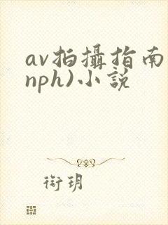 av拍摄指南(nph)小说封面