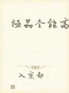 极品全能高手封面