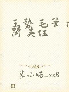 玉势 毛笔 撑开 夹住封面