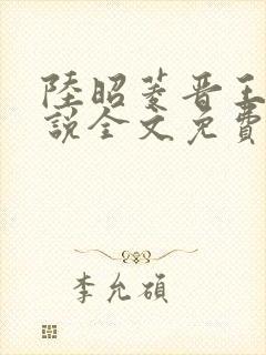 陆昭菱晋王的小说全文免费阅读封面