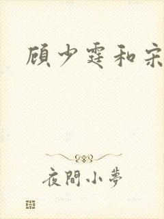 顾少霆和宋斯曼