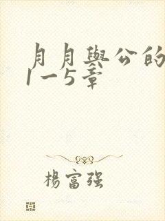 月月与公的激情1一5章