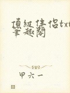 顶级伴侣txt笔趣阁