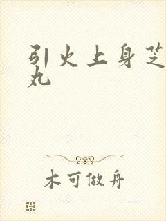 引火上身芝麻糖丸