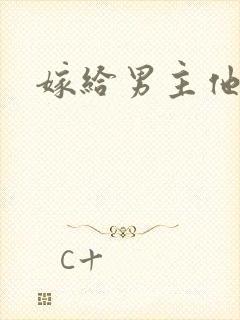 嫁给男主他爹封面