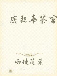 康熙奉茶宫女封面