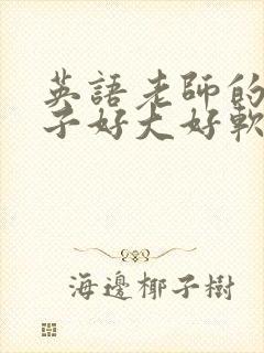 英语老师的小兔子好大好软水