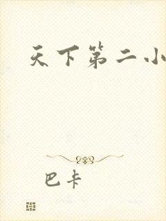 天下第二小说
