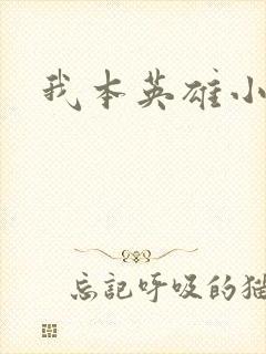 我本英雄小说
