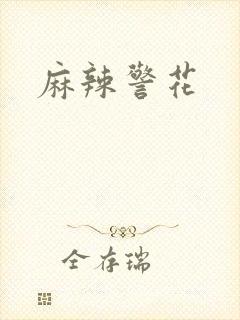 麻辣警花封面