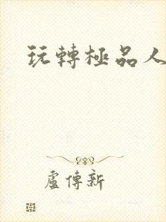 玩转极品人生封面