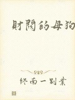 财阀的母狗们