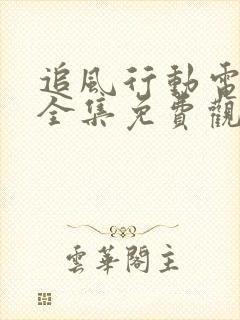 追风行动电视剧全集免费观看