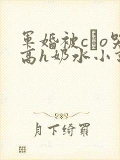 军婚被cαo哭高h奶水小说