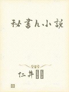 秘书h小说