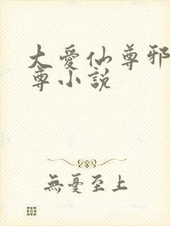 大爱仙尊邪银魔尊小说封面