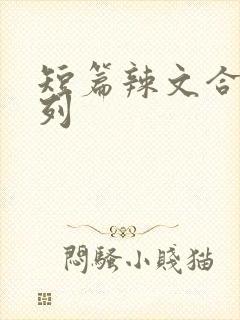 短篇辣文合集系列