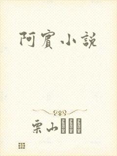 阿宾小说