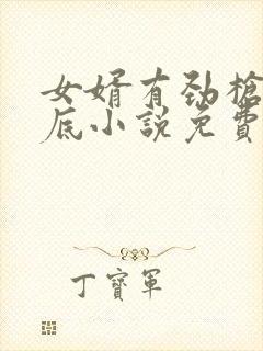 女婿有劲枪枪到底小说免费看