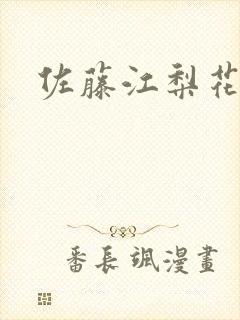 佐藤江梨花封面