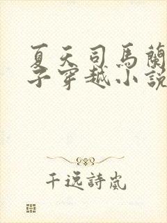 夏天司马兰九皇子穿越小说笔趣阁封面