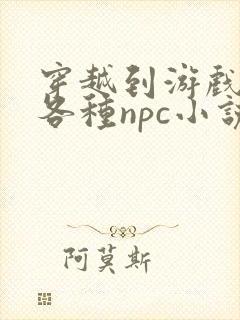 穿越到游戏里和各种npc小说封面