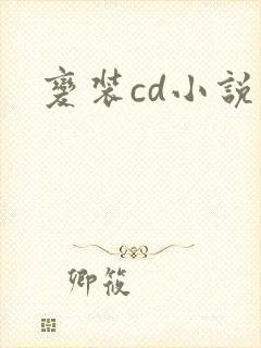 变装cd小说封面