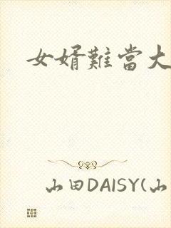 女婿难当大结局封面