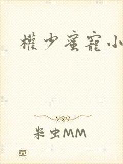 权少蜜宠小娇妻