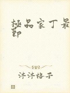 极品家丁最新章节