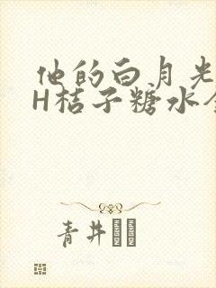 他的白月光HVH桔子糖水全文封面