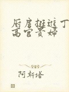 厨房挺进丁字裤高官贵妇封面