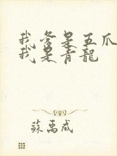 我爹是五爪金龙我是青龙封面