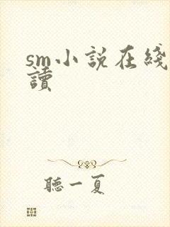 sm小说在线阅读