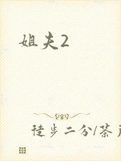姐夫2