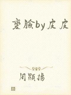 变脸by皮皮虾封面
