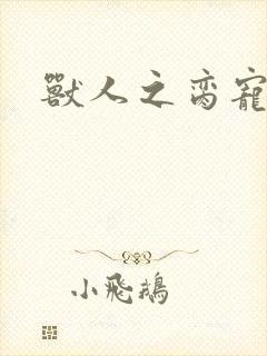 兽人之脔宠封面