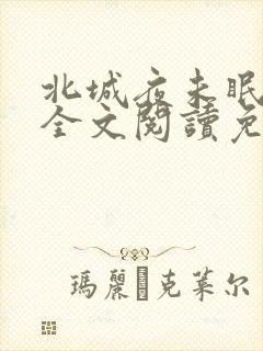 北城夜未眠小说全文阅读免费